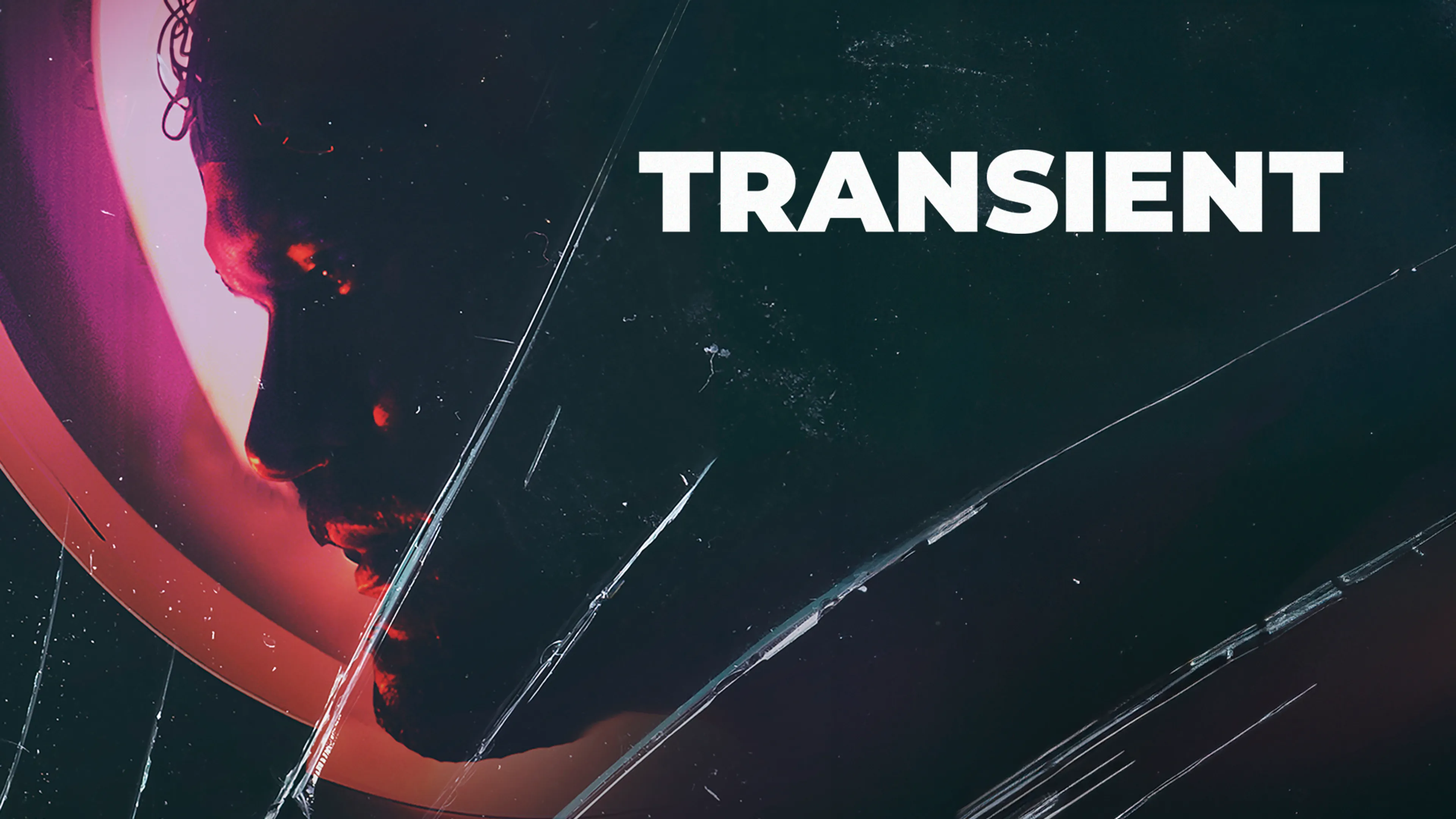 Transient poster
